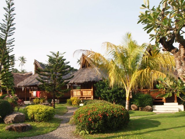 Pura Vida Beach & Dive Resort - 4