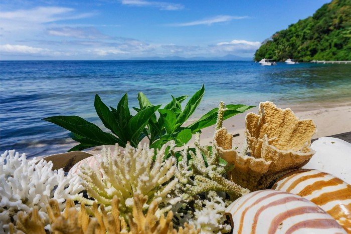 Boende & dykning - Halmahera - 2