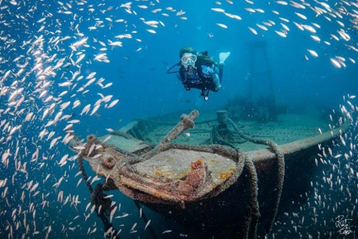 Boende & dykning - La Paz - 4