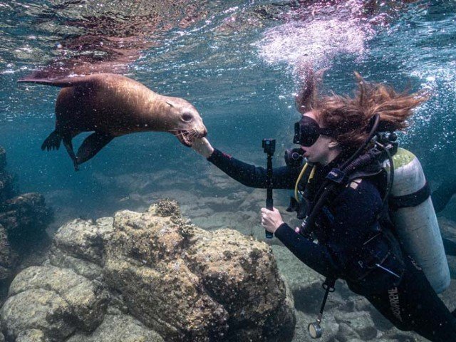 Boende & dykning - La Paz - 5