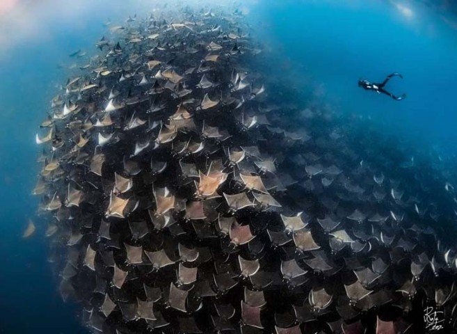 La Paz – Buceo & Villa Carey  - 12