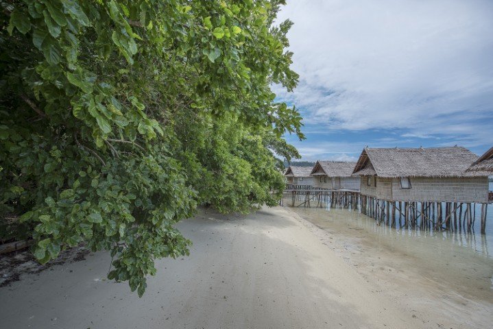 Papua Paradise Eco Resort - 8