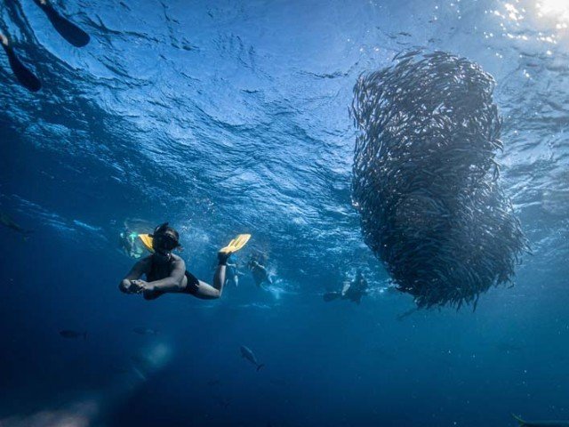 Boende & dykning - La Paz - 7