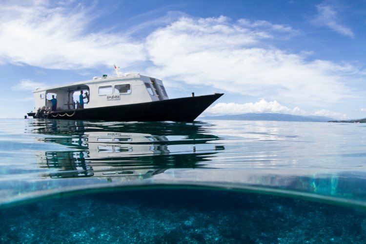 Lembeh Resort - Norra Sulawesi - 14