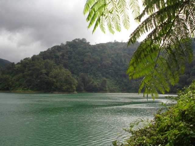 Pura Vida Beach & Dive Resort - 7